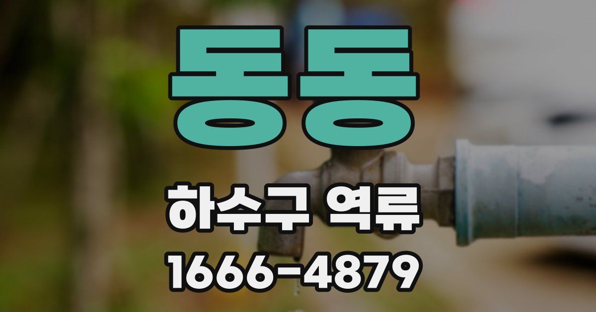 동동 하수구 역류
