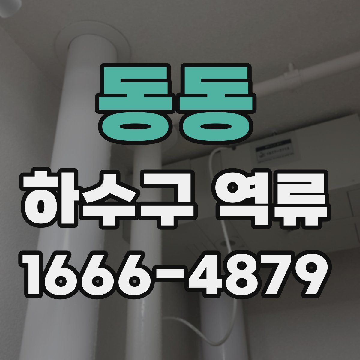 동동 하수구 역류