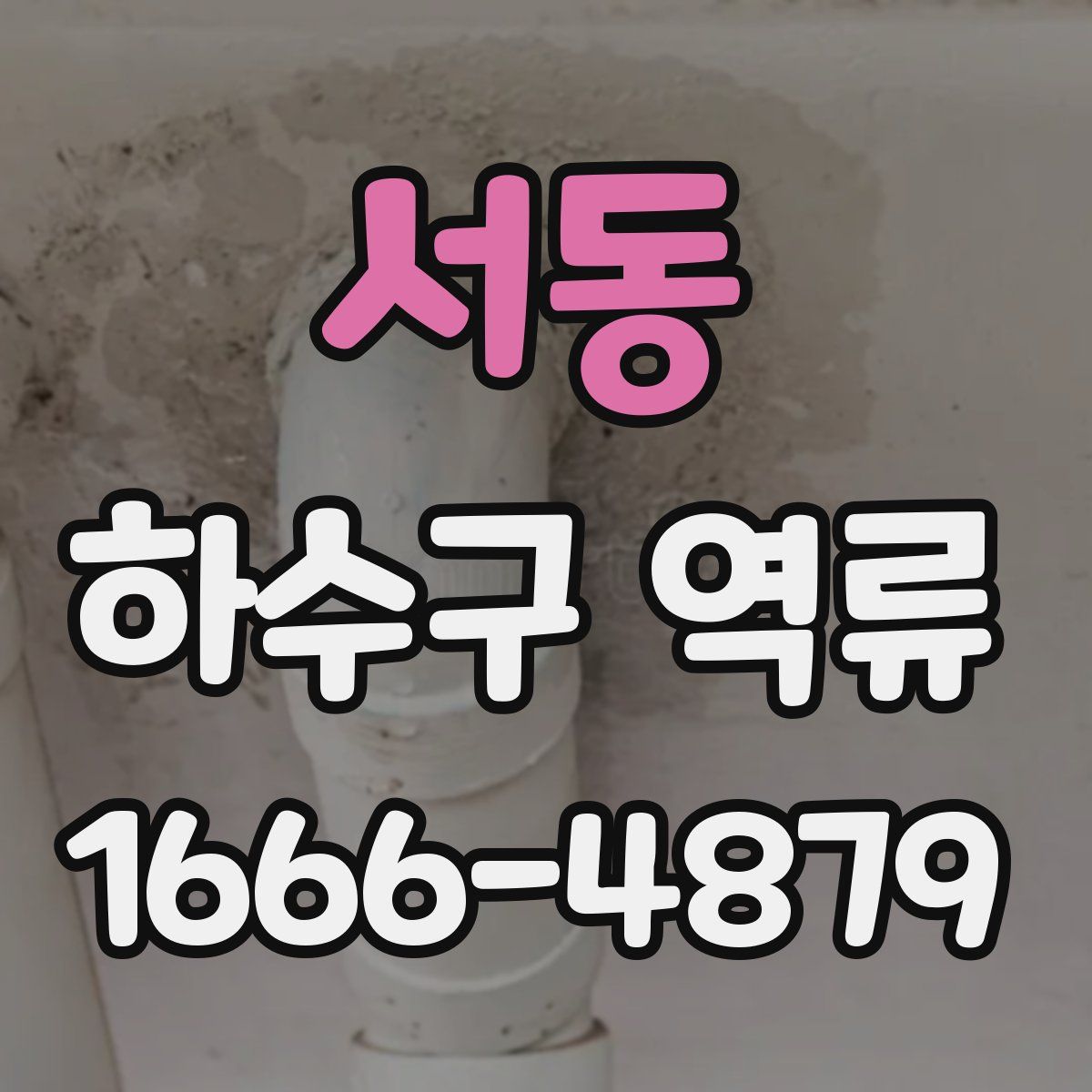서동 하수구 역류