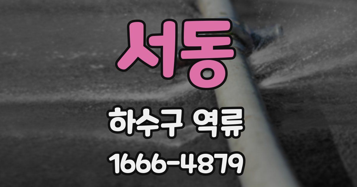 서동 하수구 역류