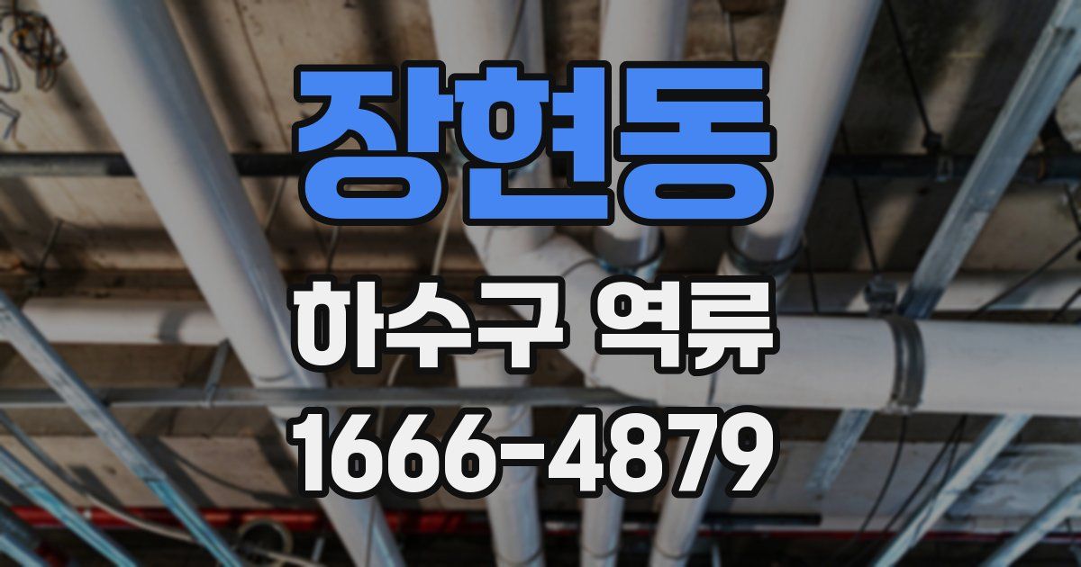장현동 하수구 역류