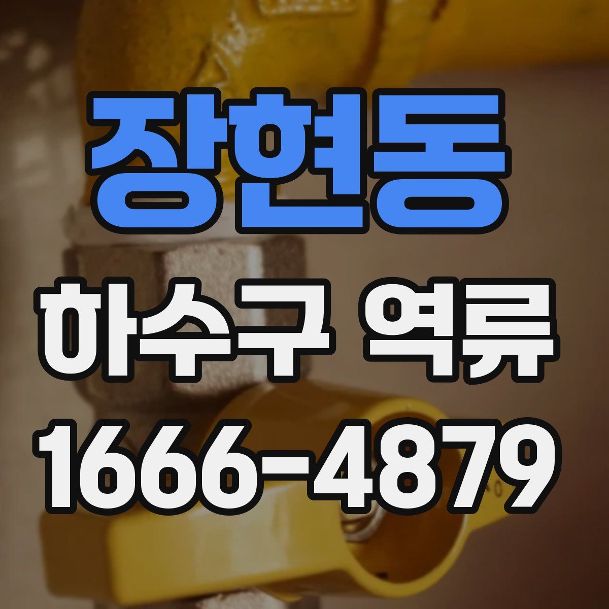 장현동 하수구 역류