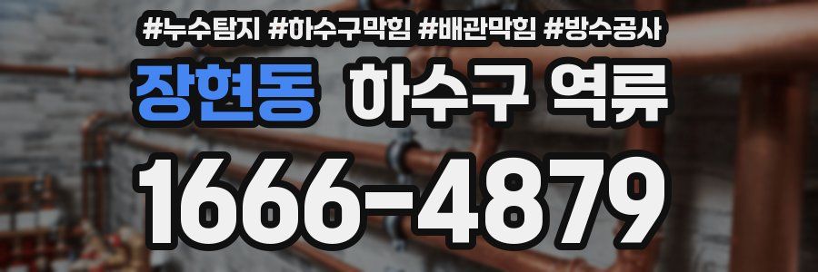 장현동 하수구 역류