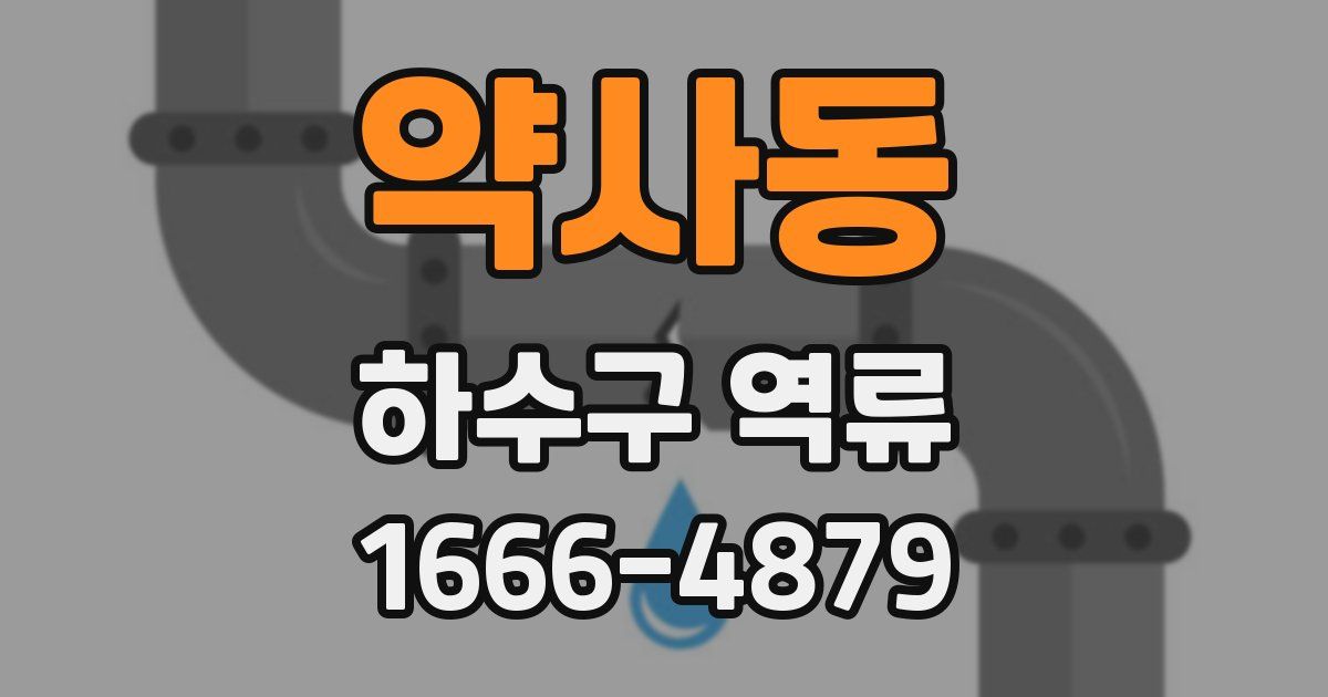 약사동 하수구 역류
