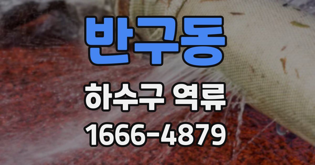 반구동 하수구 역류