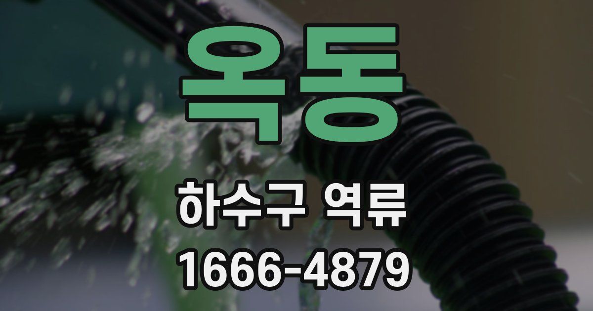 옥동 하수구 역류
