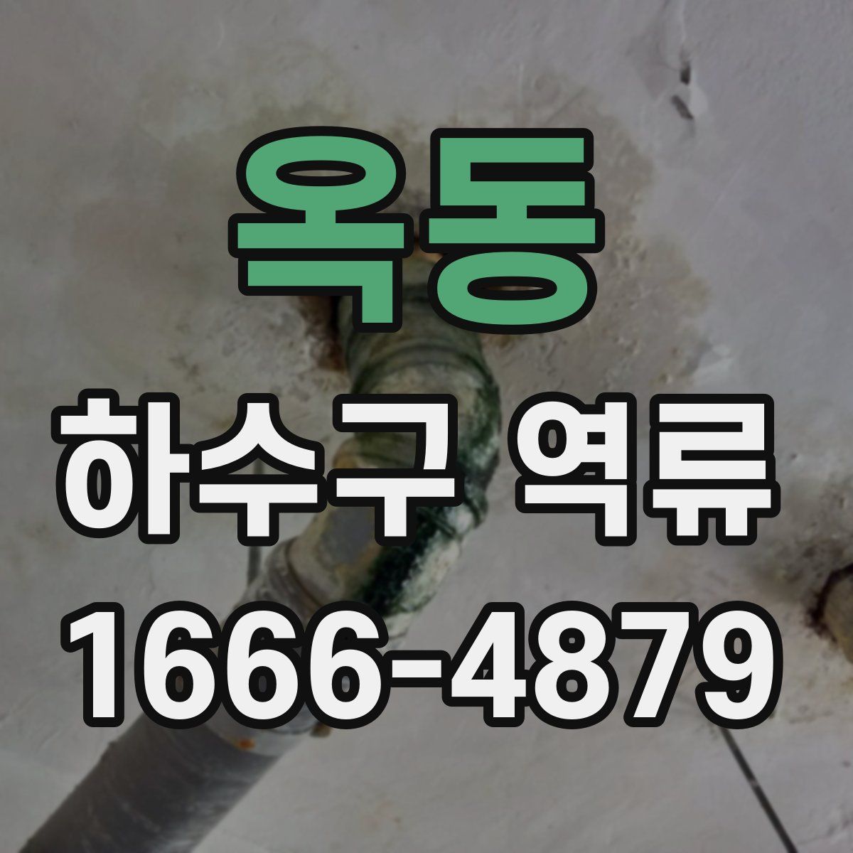 옥동 하수구 역류