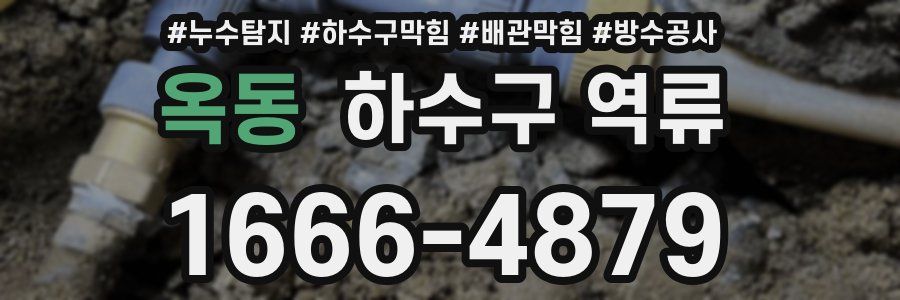 옥동 하수구 역류