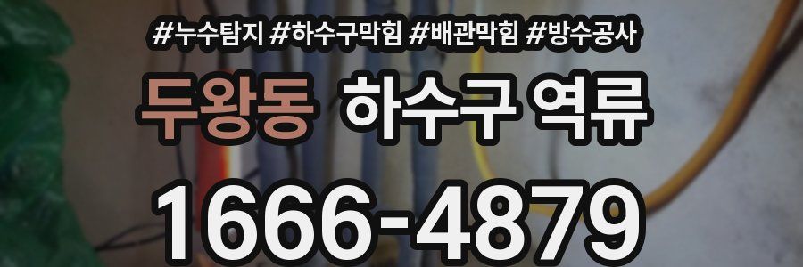 두왕동 하수구 역류