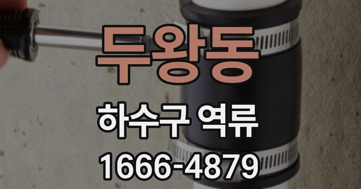 두왕동 하수구 역류