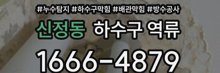 신정동 하수구 역류