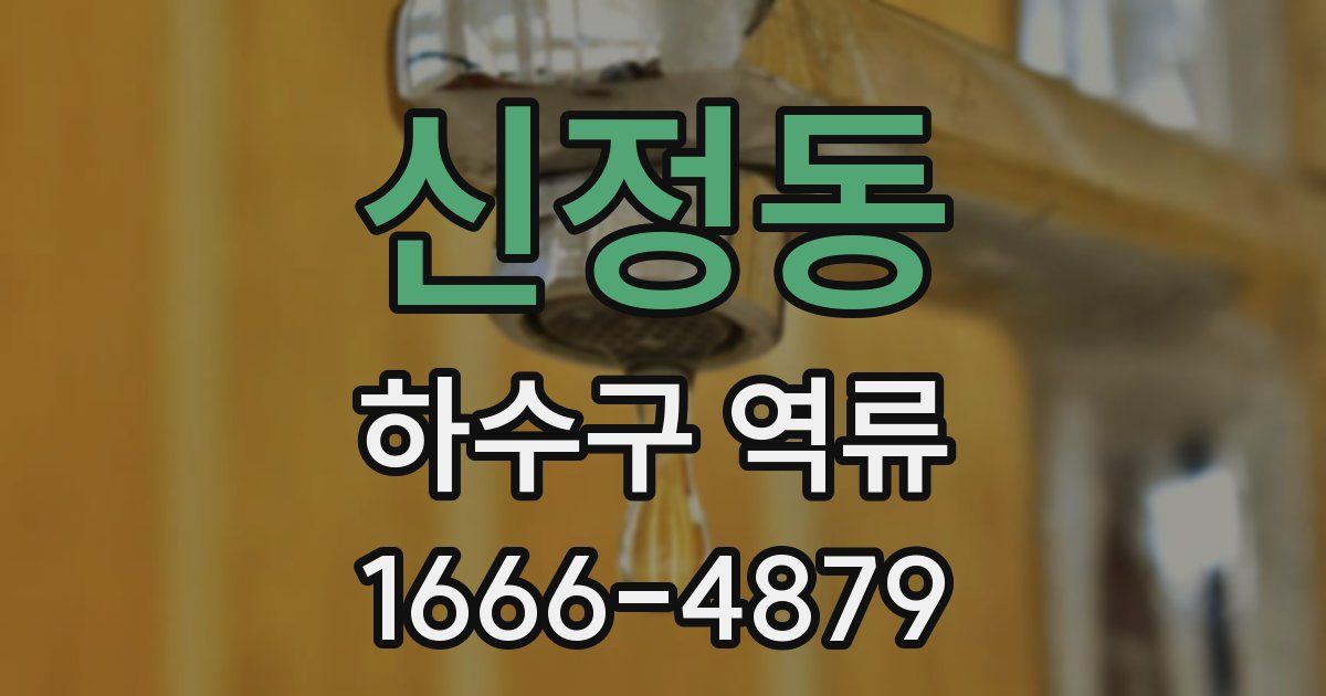 신정동 하수구 역류
