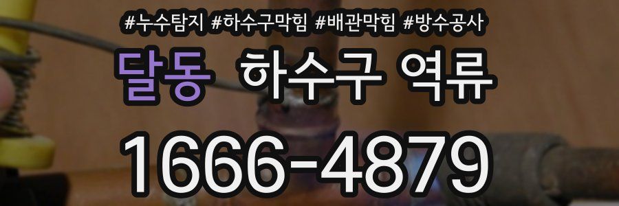 달동 하수구 역류