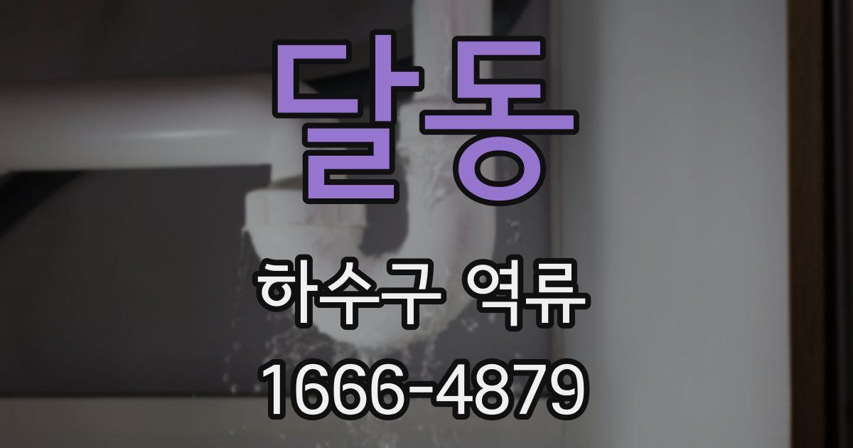 달동 하수구 역류