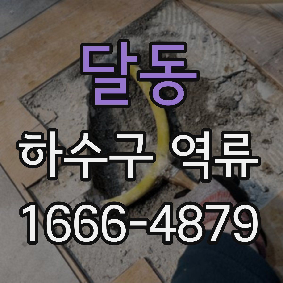 달동 하수구 역류
