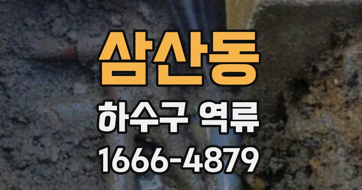 삼산동 하수구 역류