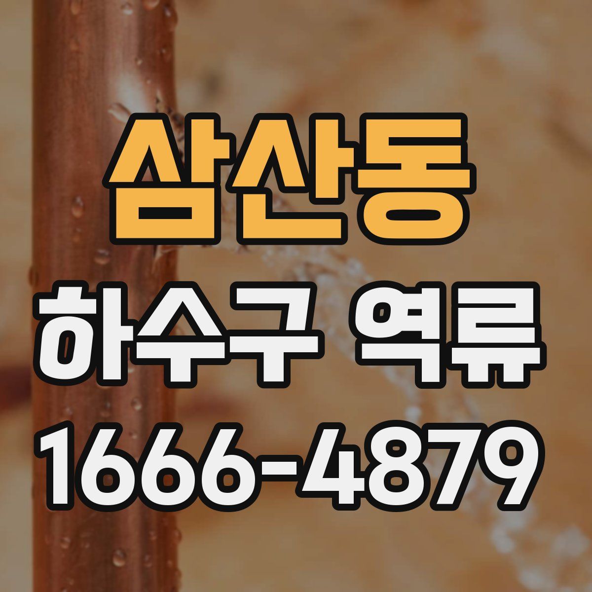 삼산동 하수구 역류