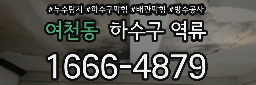 여천동 하수구 역류