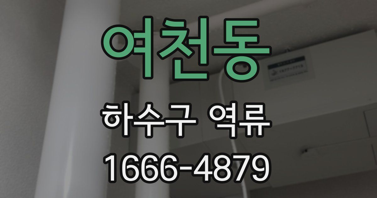 여천동 하수구 역류