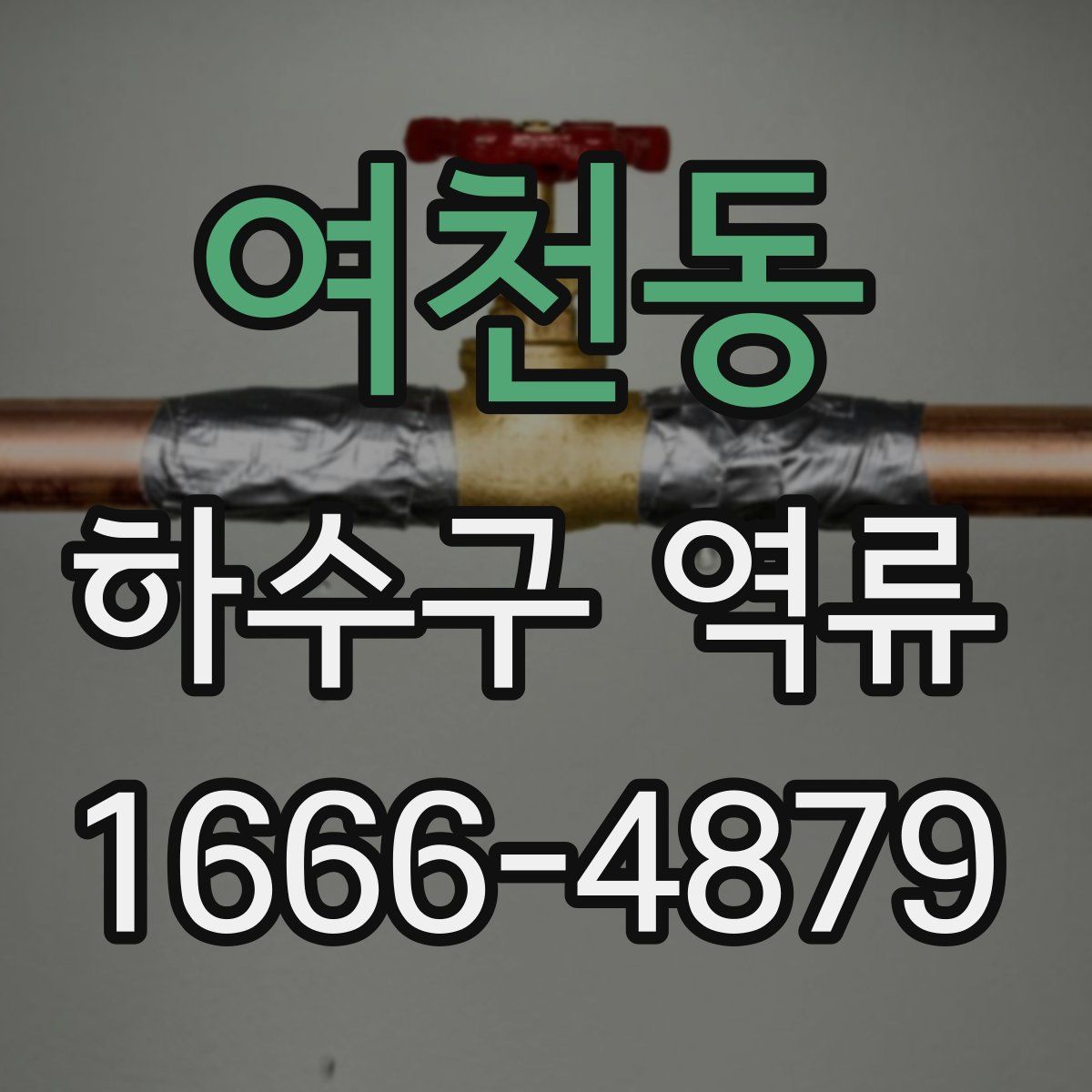 여천동 하수구 역류