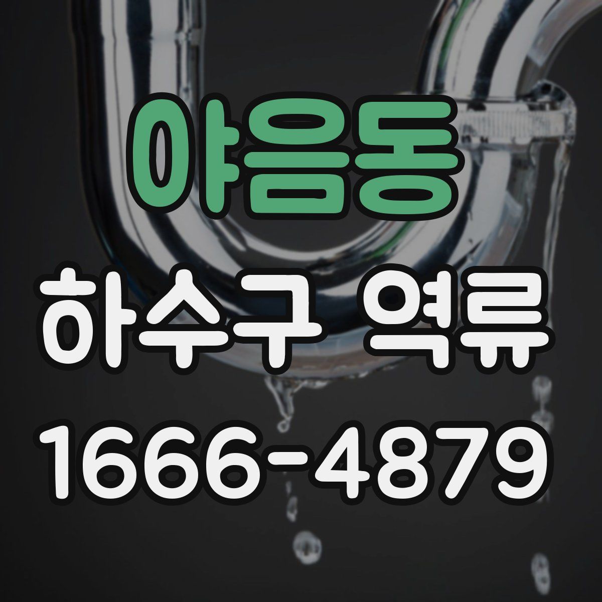 야음동 하수구 역류