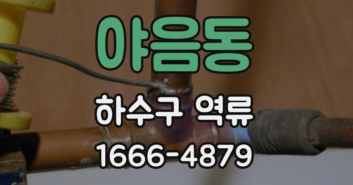 야음동 하수구 역류