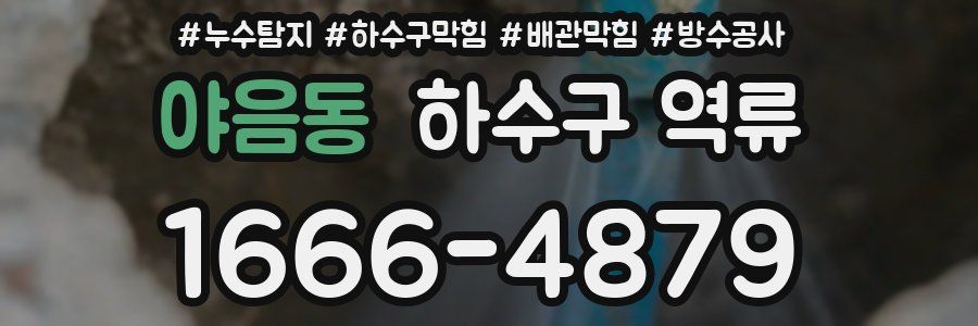 야음동 하수구 역류