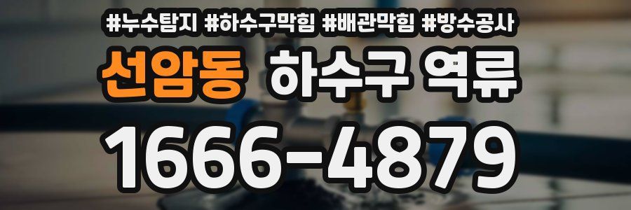 선암동 하수구 역류