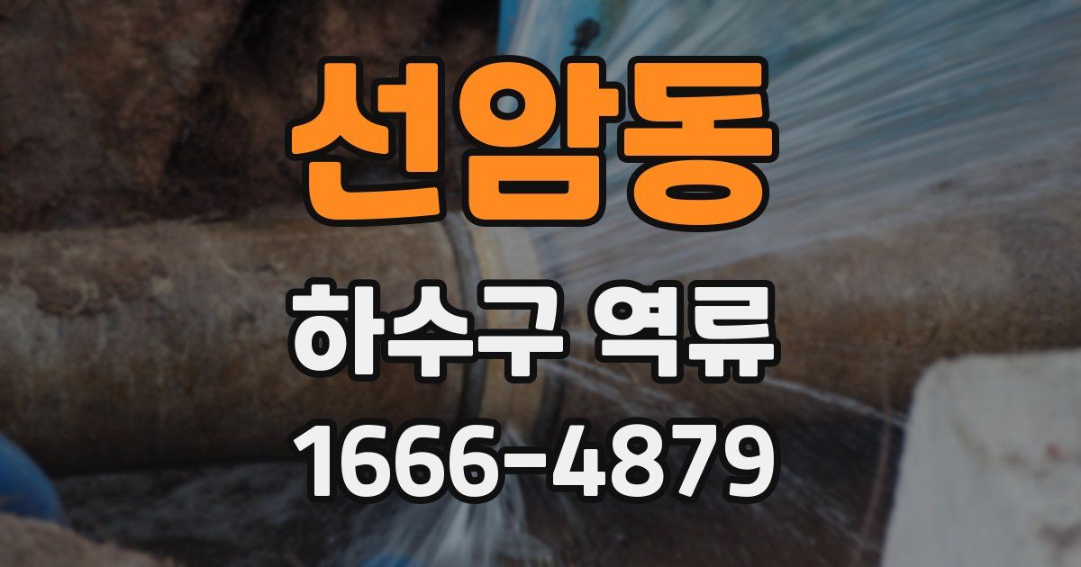 선암동 하수구 역류
