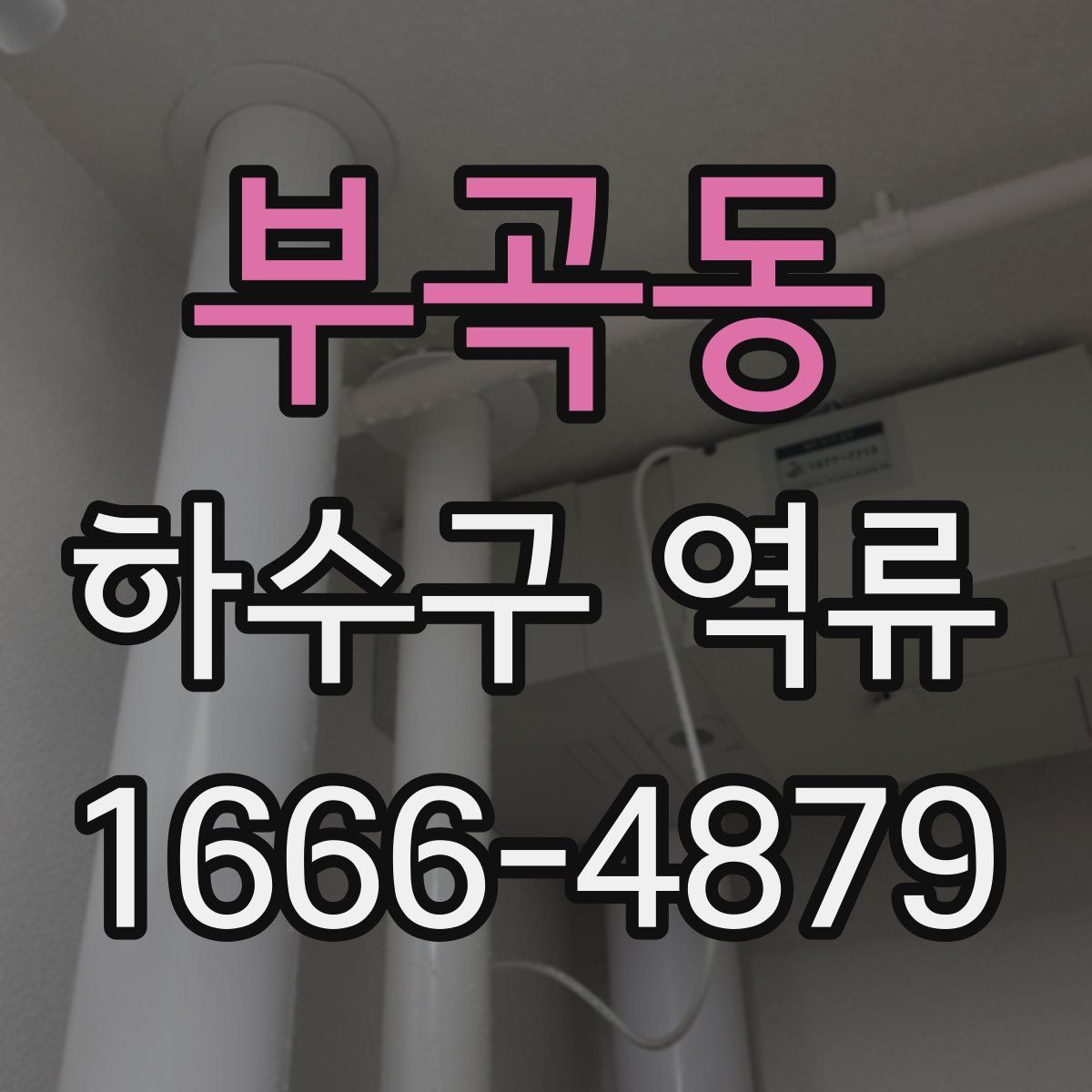 부곡동 하수구 역류