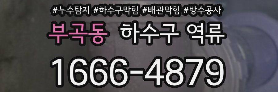 부곡동 하수구 역류