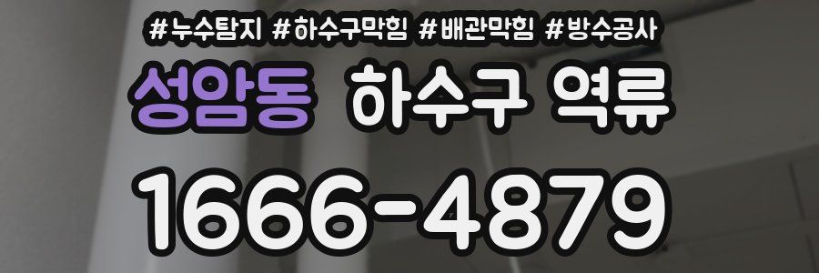 성암동 하수구 역류
