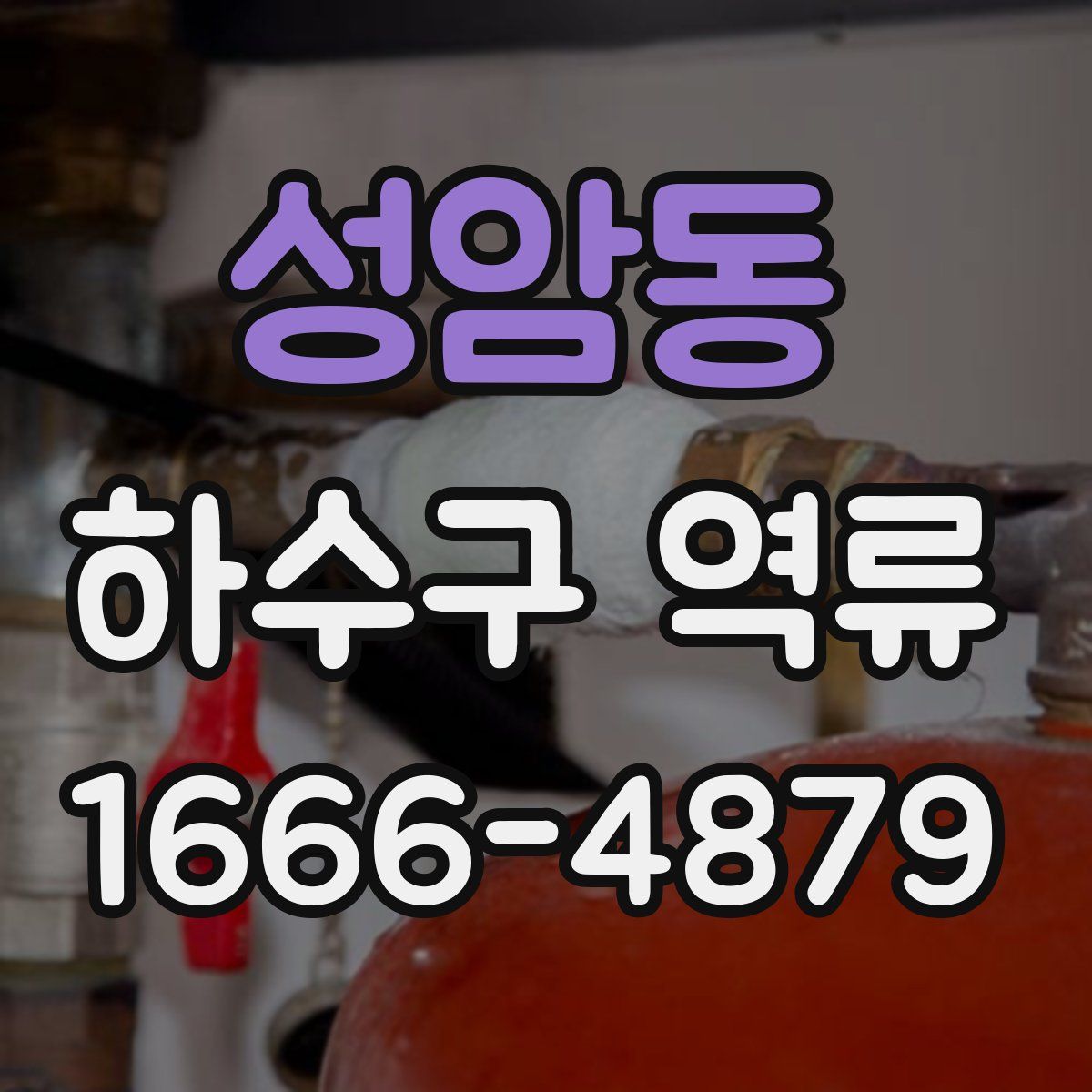 성암동 하수구 역류