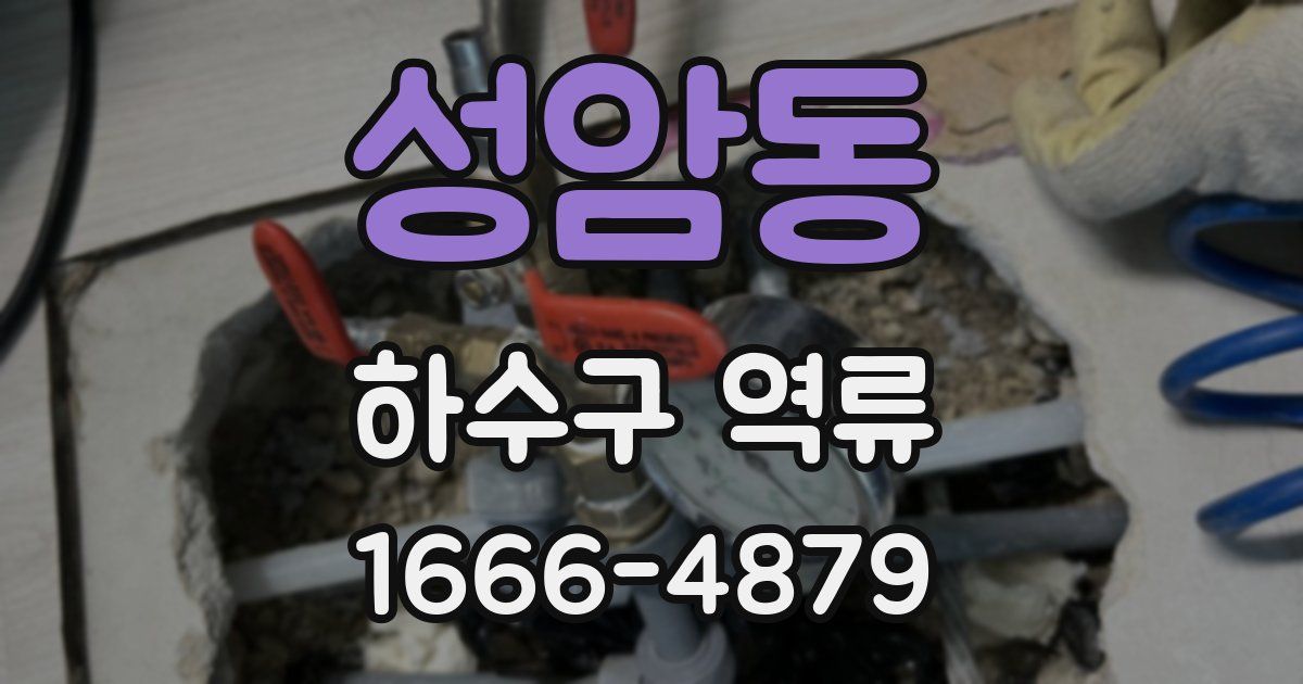 성암동 하수구 역류