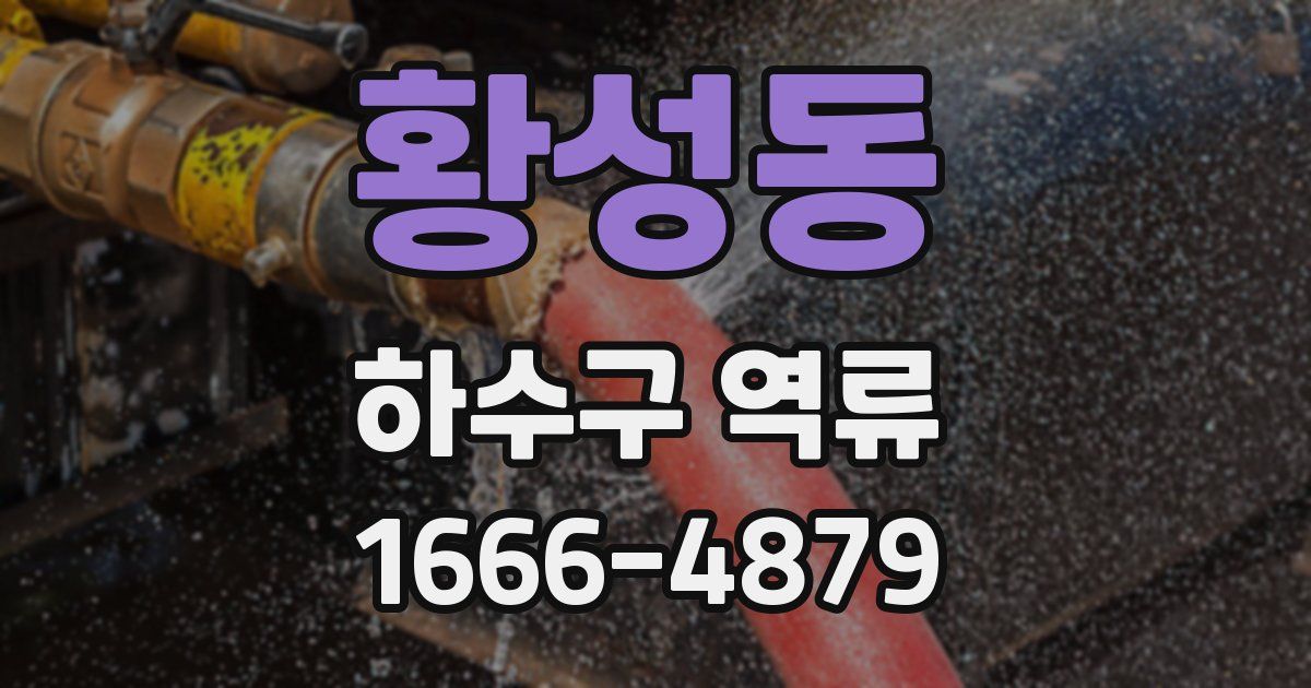 황성동 하수구 역류
