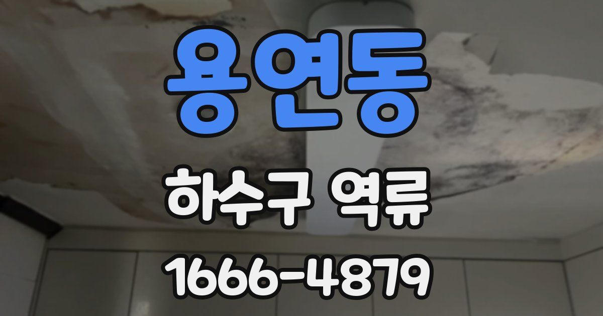 용연동 하수구 역류