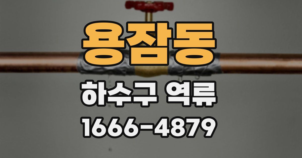 용잠동 하수구 역류
