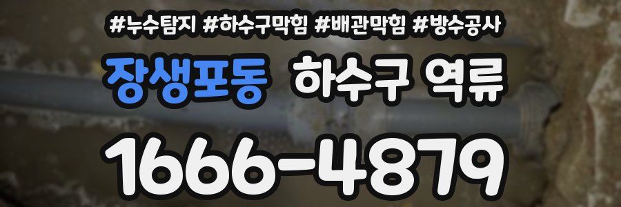 장생포동 하수구 역류