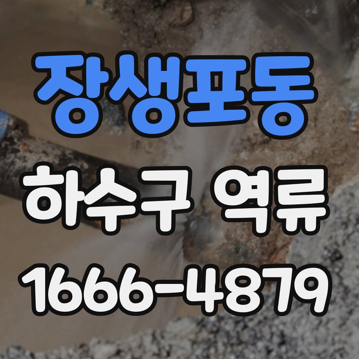 장생포동 하수구 역류