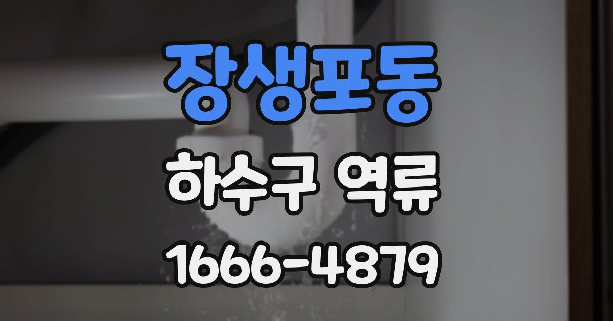 장생포동 하수구 역류
