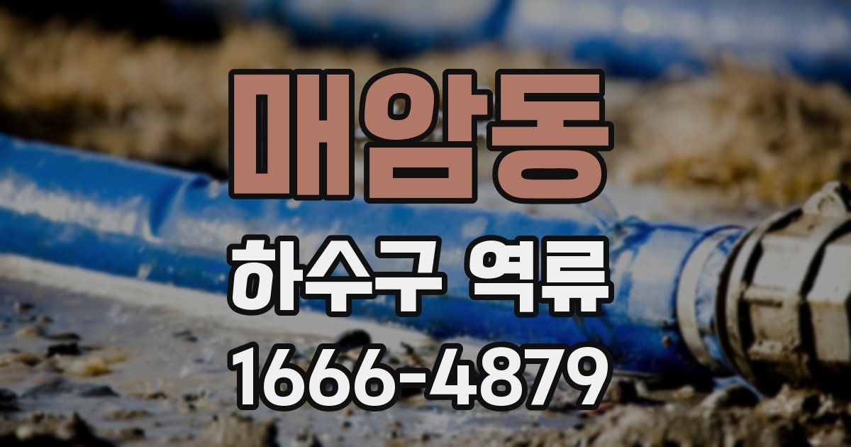 매암동 하수구 역류