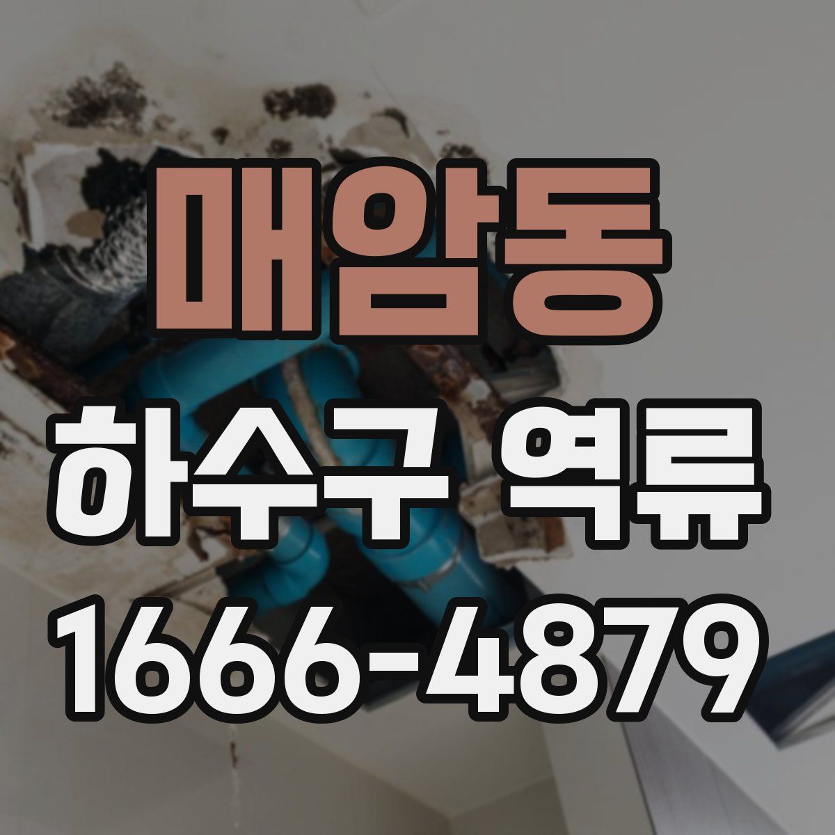 매암동 하수구 역류