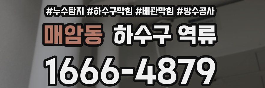 매암동 하수구 역류