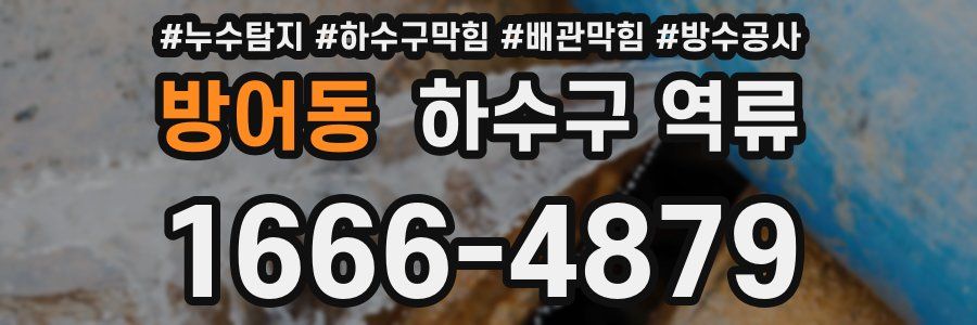방어동 하수구 역류