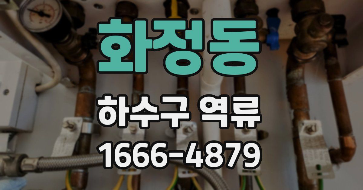 화정동 하수구 역류