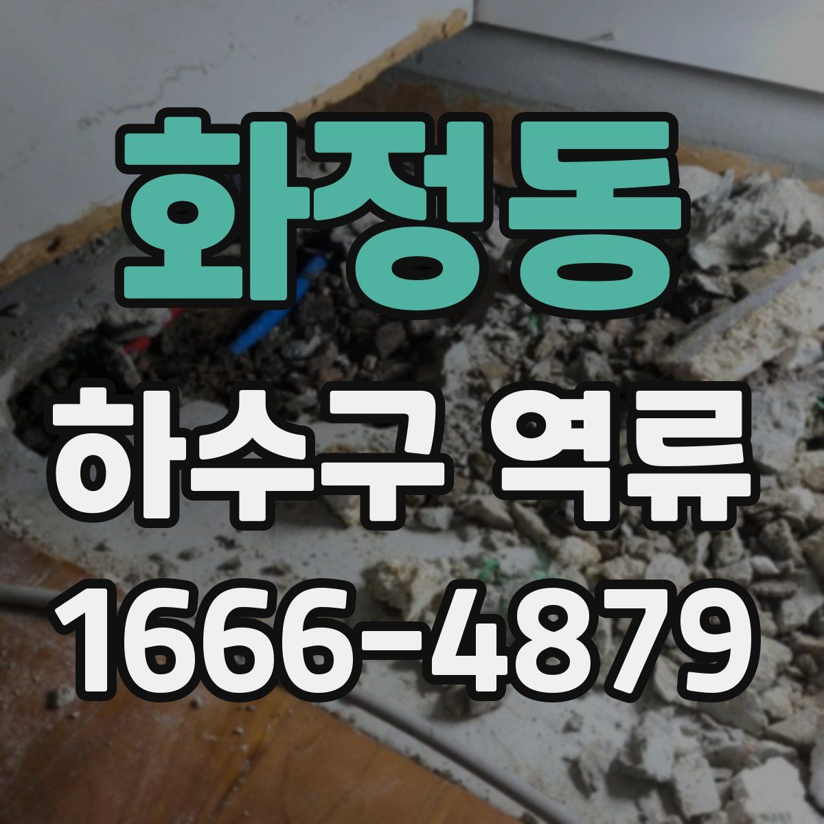 화정동 하수구 역류