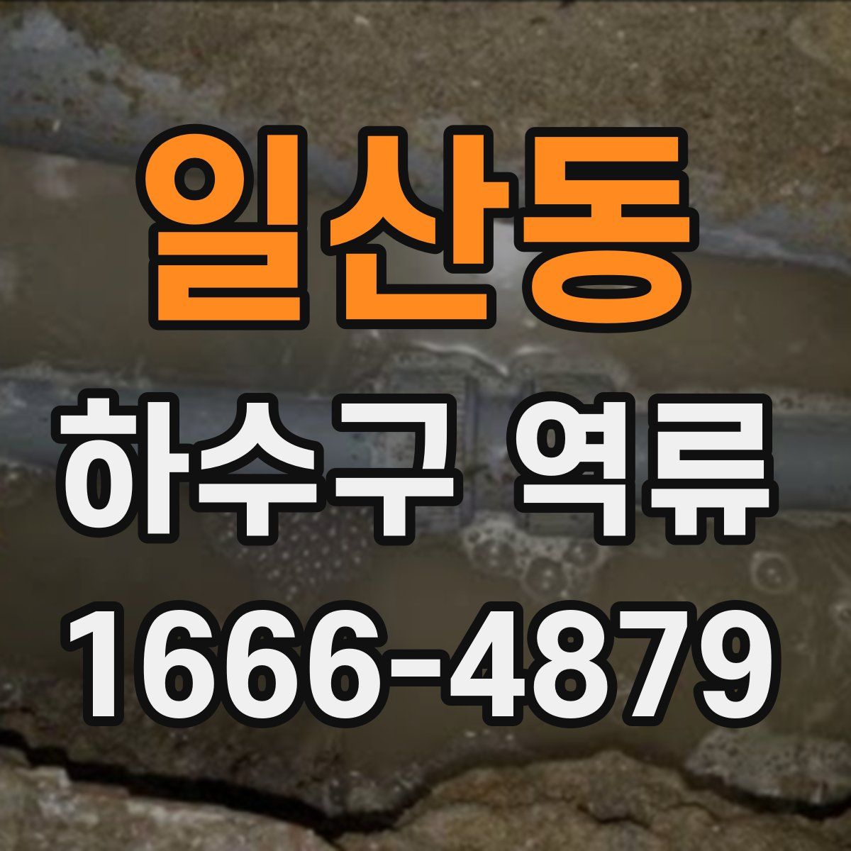 일산동 하수구 역류