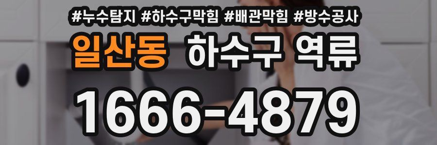 일산동 하수구 역류