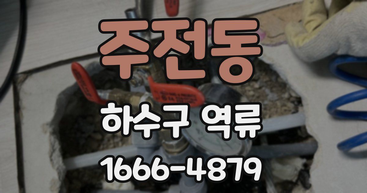 주전동 하수구 역류