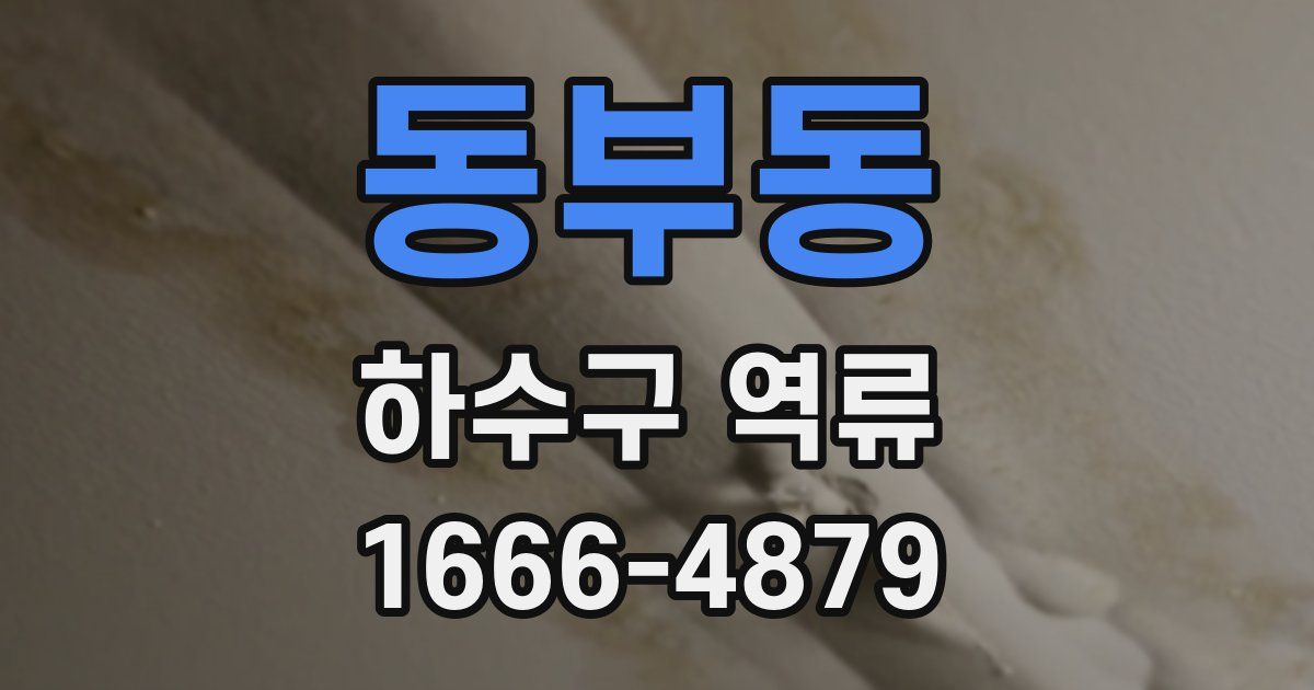 동부동 하수구 역류